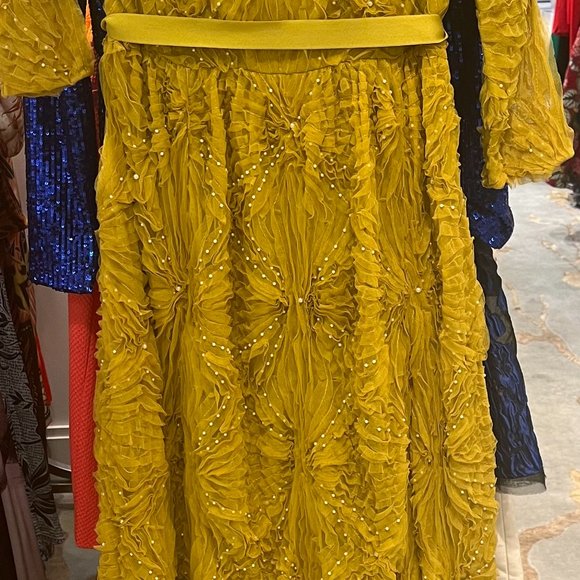 ERDEM Tarka beaded tulle-lattice gown - Picture 3 of 6